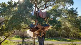 master tree house craftsman Dustin Feider installed this expressionistic prefabricated structure