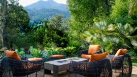Tropical garden overlooking Mount Tam