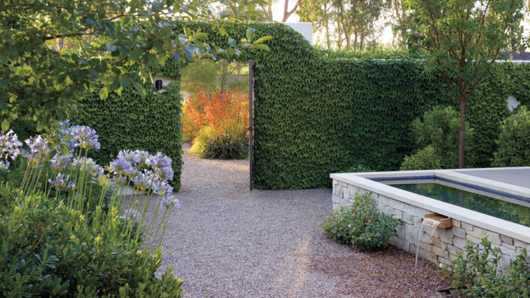 garden designed by landscape architect Michael Lucas of the Healdsburg firm Lucas and Lucas.
