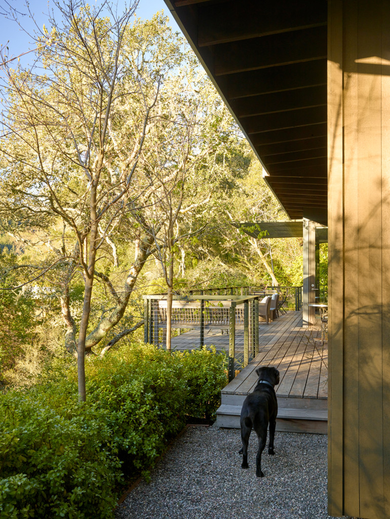 A big wraparound deck, designed by Eric Blasen, anchors the southeast side of the house.