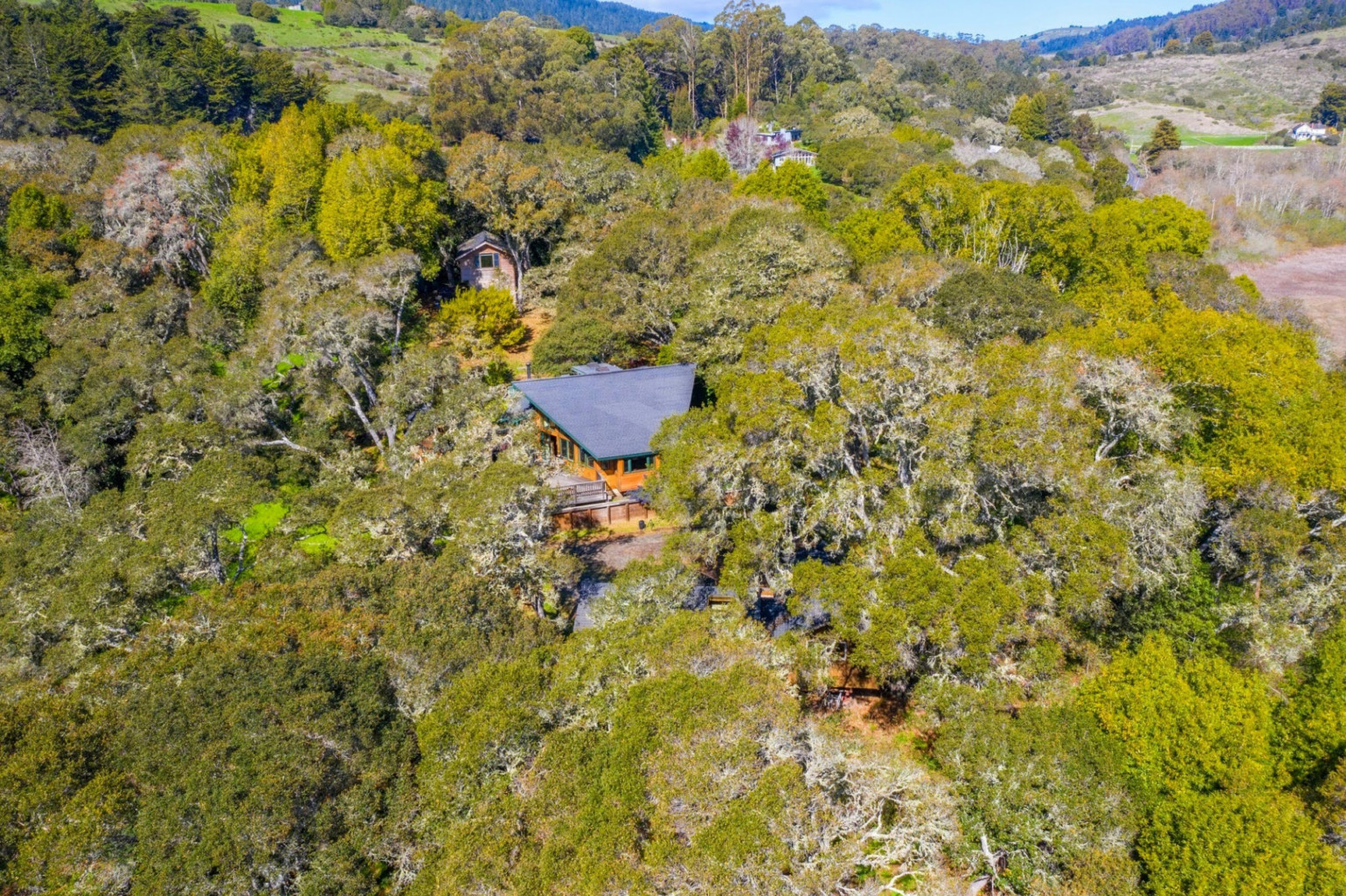 1015 Olema Bolinas Road, Bolinas, CA 94924 California homes for sales, woods, greenery