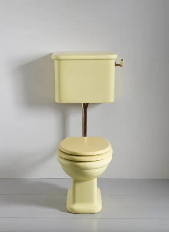 the water monopoly toilet_bathroom essentials