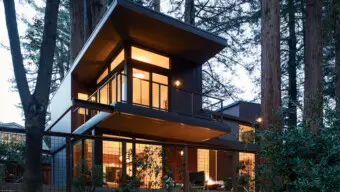 A Family From Los Angeles Is Living Large in Their New 1,600-Square Foot Home Set Among Mill Valley’s Towering Redwoods