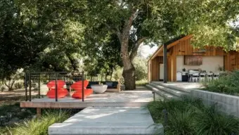 Healdsburg home in the trees