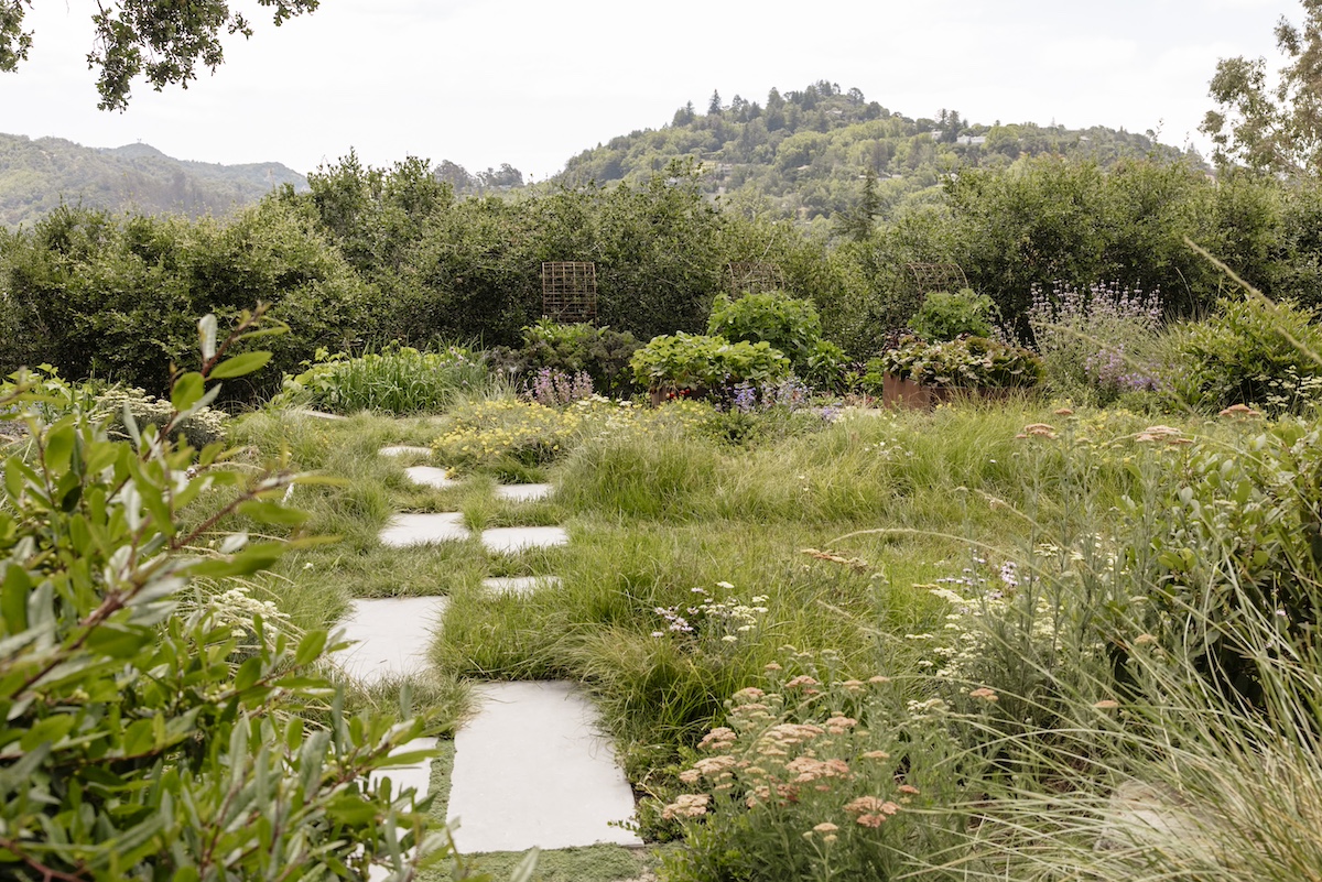 Chris Douglas Garden