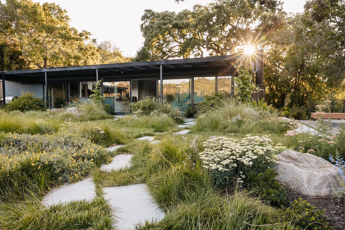 Chris Douglas Garden