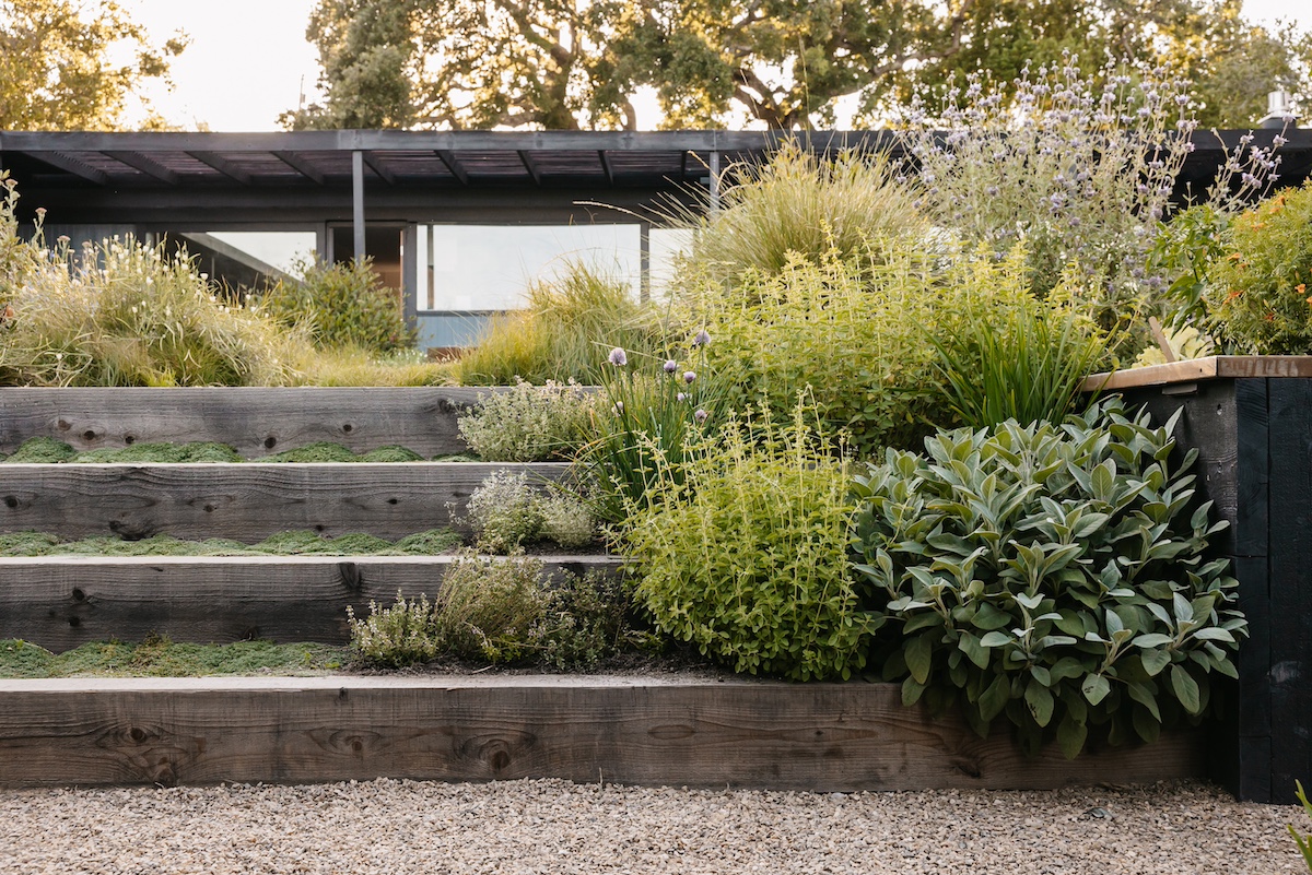 Chris Douglas Garden