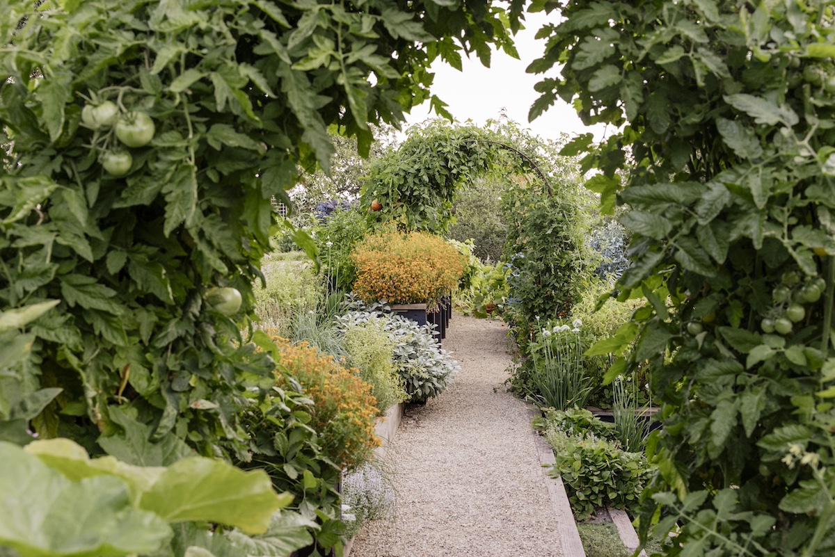 Chris Douglas Garden