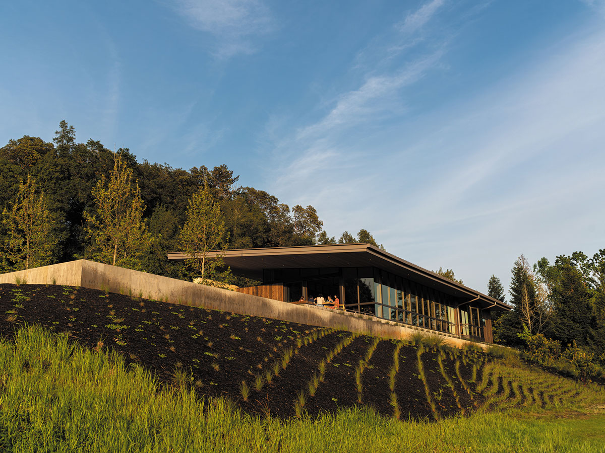 A house surrounded by lush green grass and tall trees, creating a serene and natural environment.