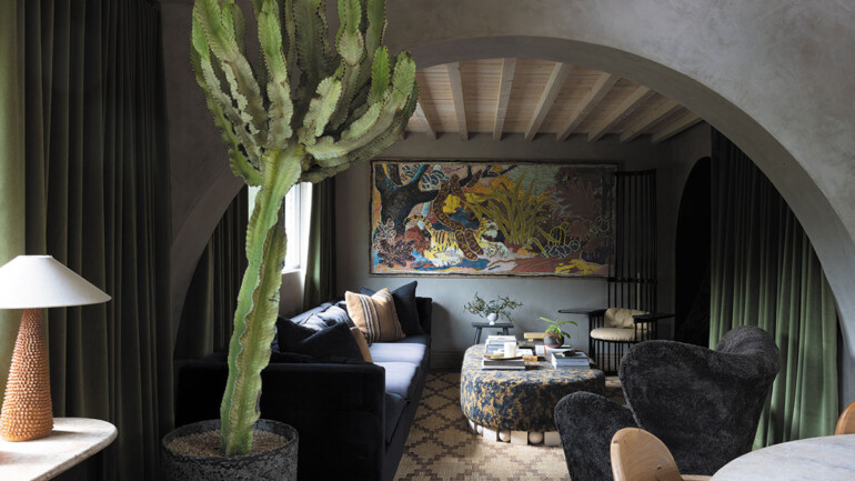 A cozy living room featuring a large cactus plant prominently placed in the corner.