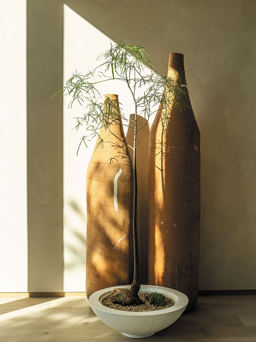 A small plant nestled in a ceramic bowl, highlighting its lush foliage and the intricate design of the bowl