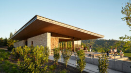 A modern building is nestled among lush green trees, creating a harmonious blend of architecture and nature.