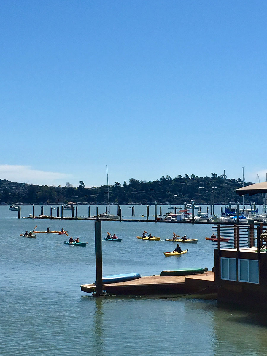 Calm sea under a clear blue sky with multiple kayakers paddling near a marina's dock.