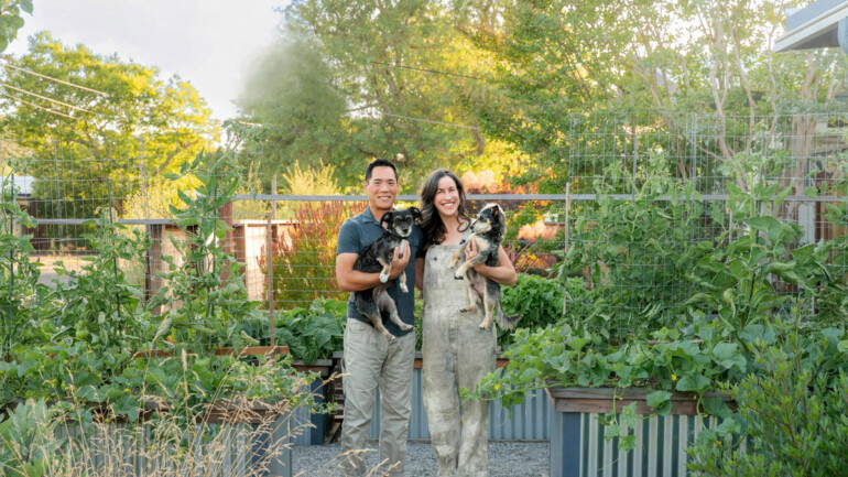 Homeowners Boris and Sydney Chen (pictured with their dogs, Jojo and Ziggy)