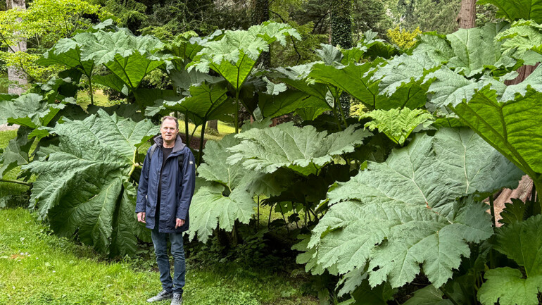Eric Blasen, Landscape Architect, in Ireland