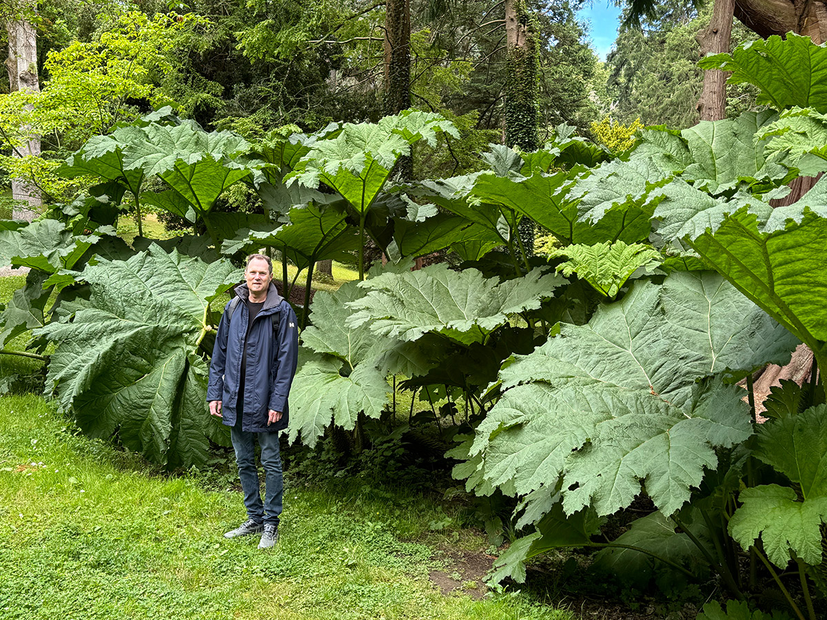 Eric Blasen, Landscape Architect, in Ireland