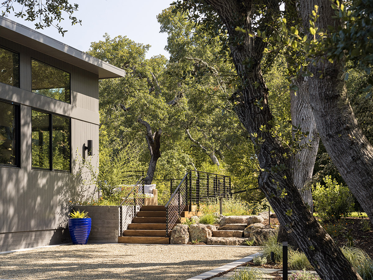 Napa Home, Backyard