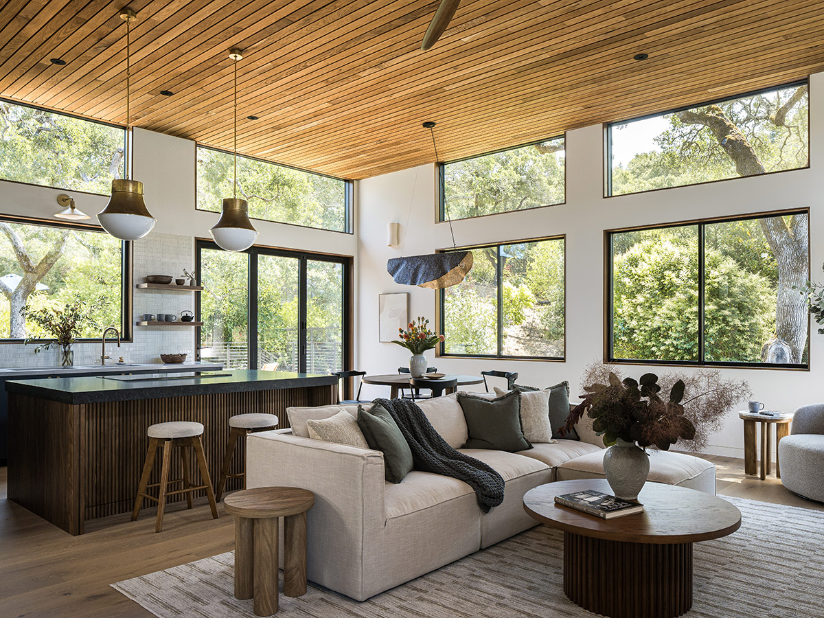 Napa Home, Common Area