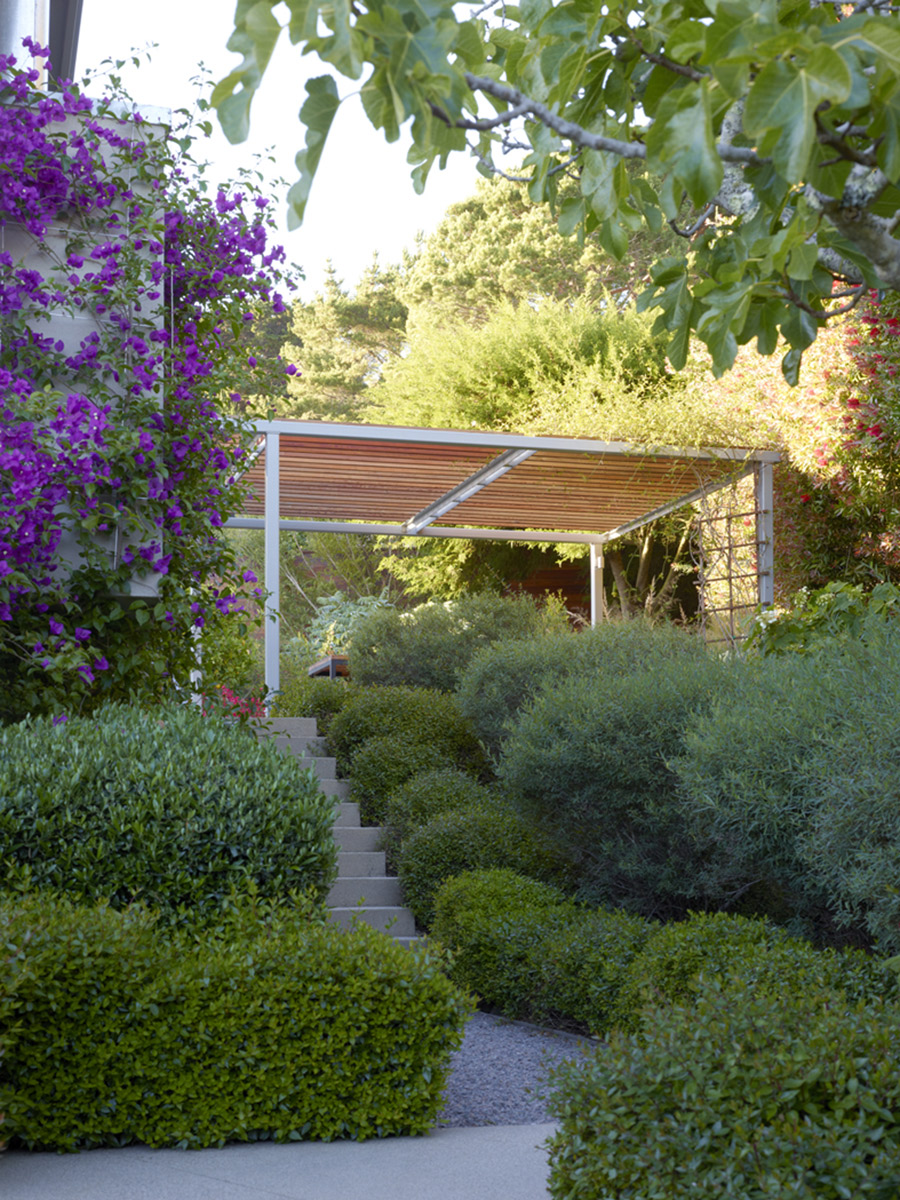 Tiburon Drought Resistant Garden, designed by Blasen Landscape Architecture
